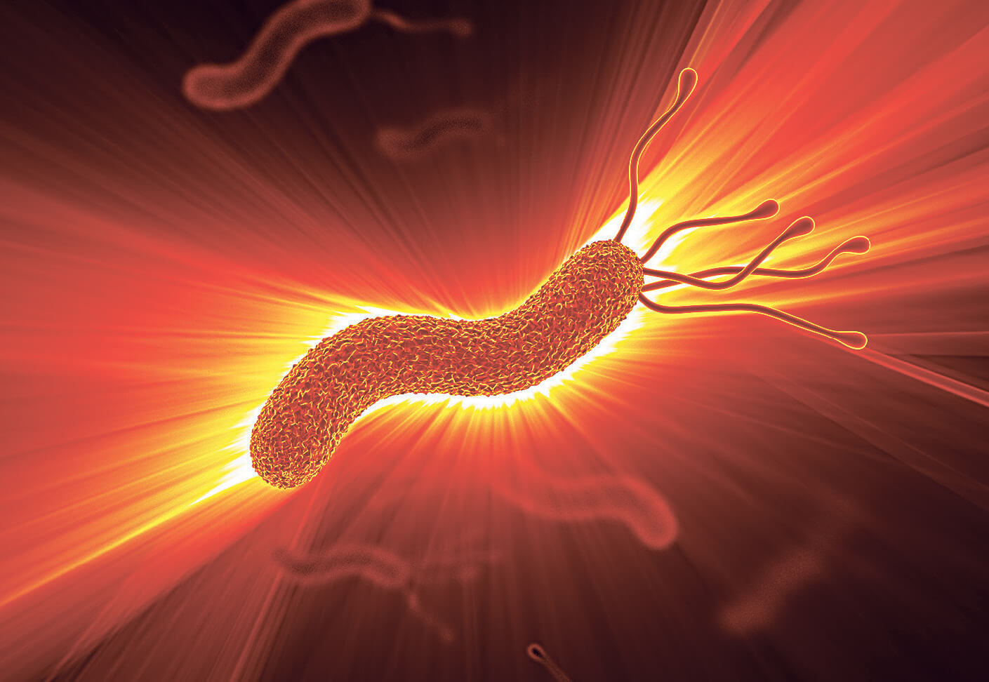 Helicobacter pylori — нові питання | Ваше Здоров'я