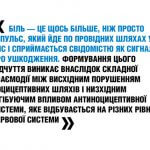37-38-school022-q