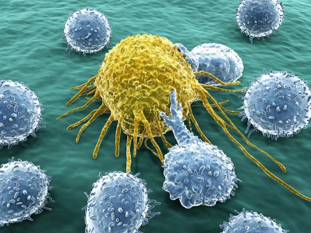 Іммунотерапія раку