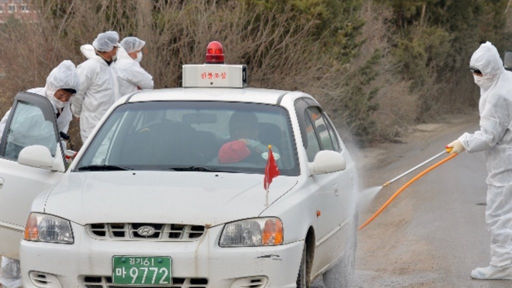 У Південній Кореї виявили осередок пташиного грипу