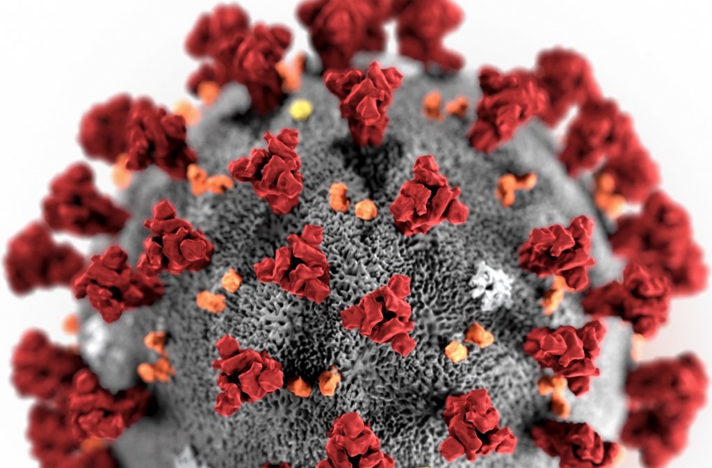 Дослідники виявили властивість коронавірусу «відключати» біль