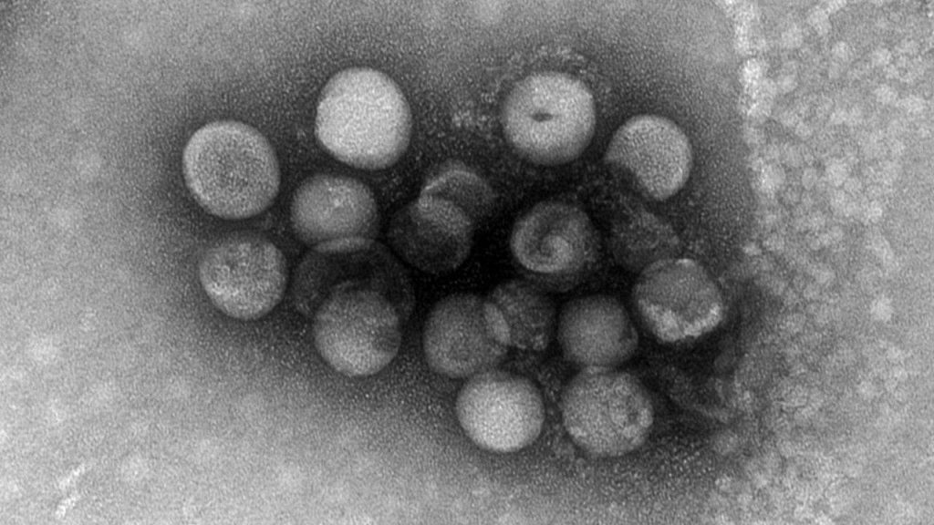 Зображення нового коронавірусу